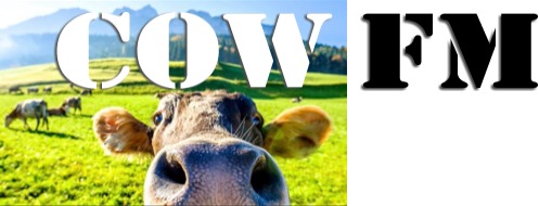 COW FM Home